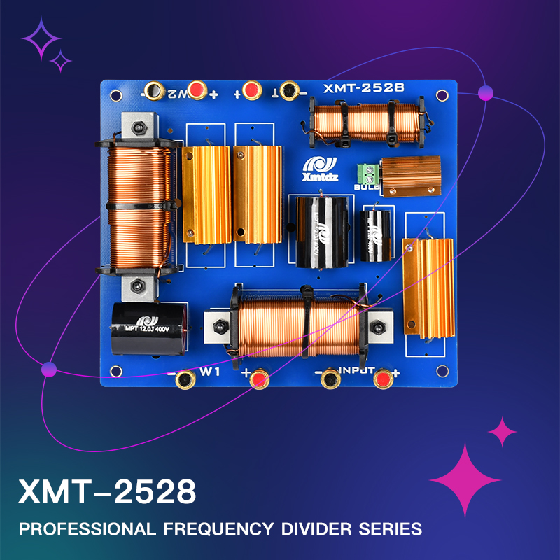 XMT-2528